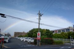 台風が過ぎて・・・